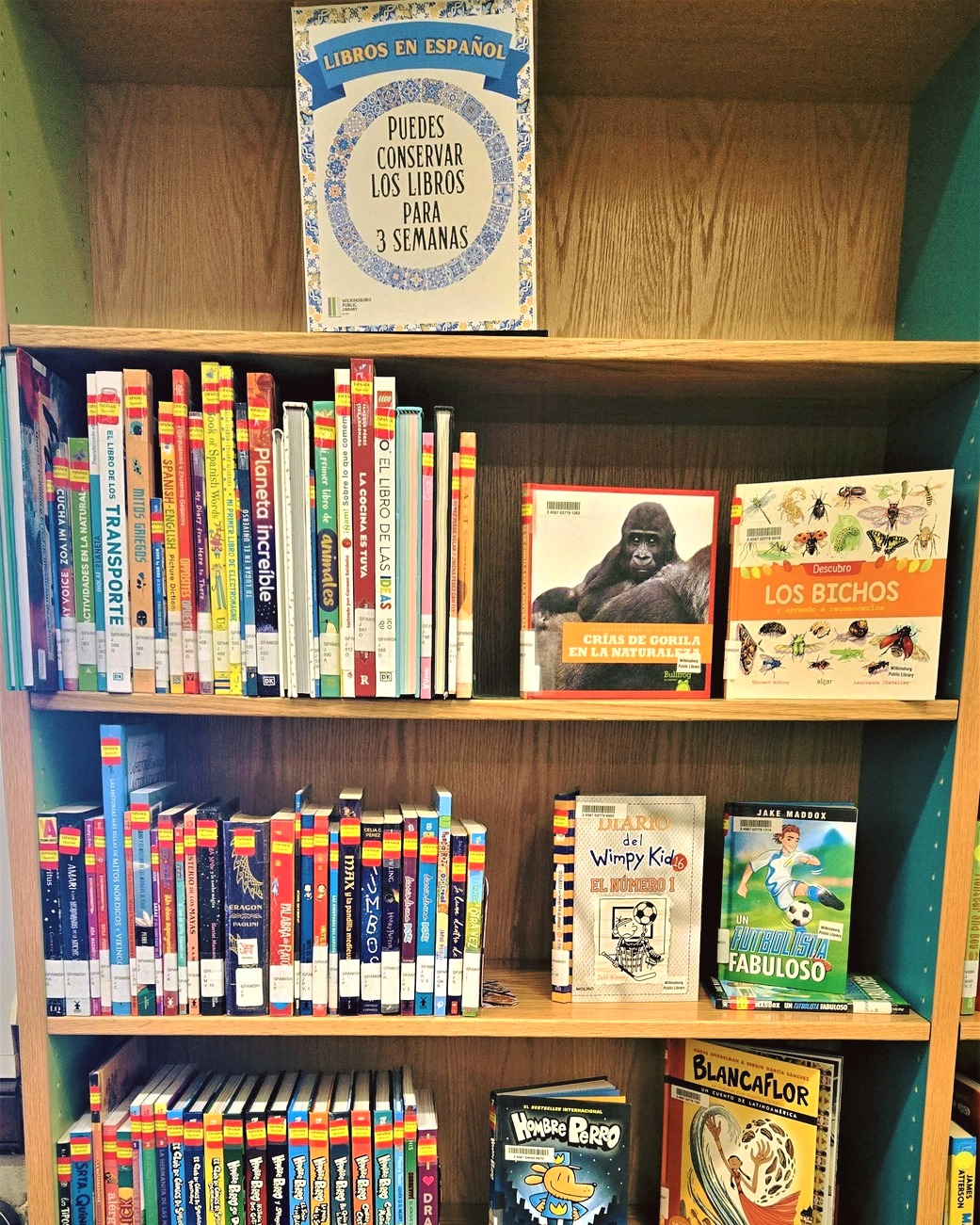 libros de español en Wilkinsburg Public Library